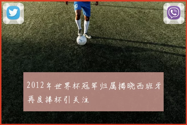 2012年世界杯冠军归属揭晓西班牙再度捧杯引关注