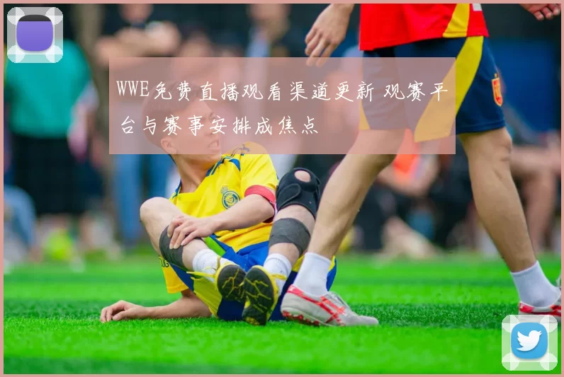 WWE免费直播观看渠道更新 观赛平台与赛事安排成焦点